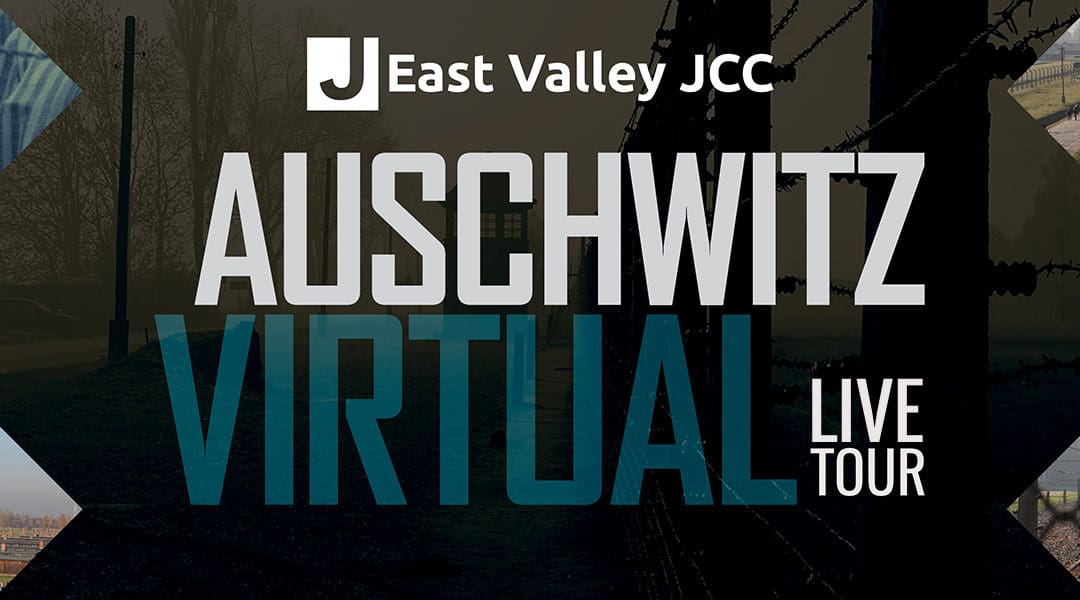 Auschwitz Virtual Live Tour