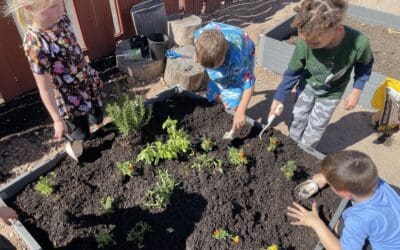 ELC Kindergarten launches new garden program